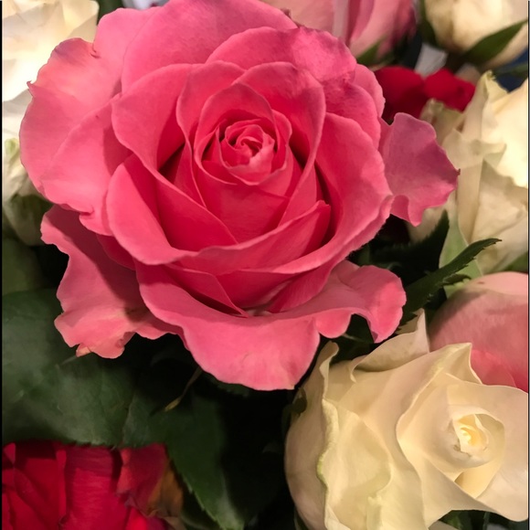 Meet your Posher, Michele - Picture 5 of 6